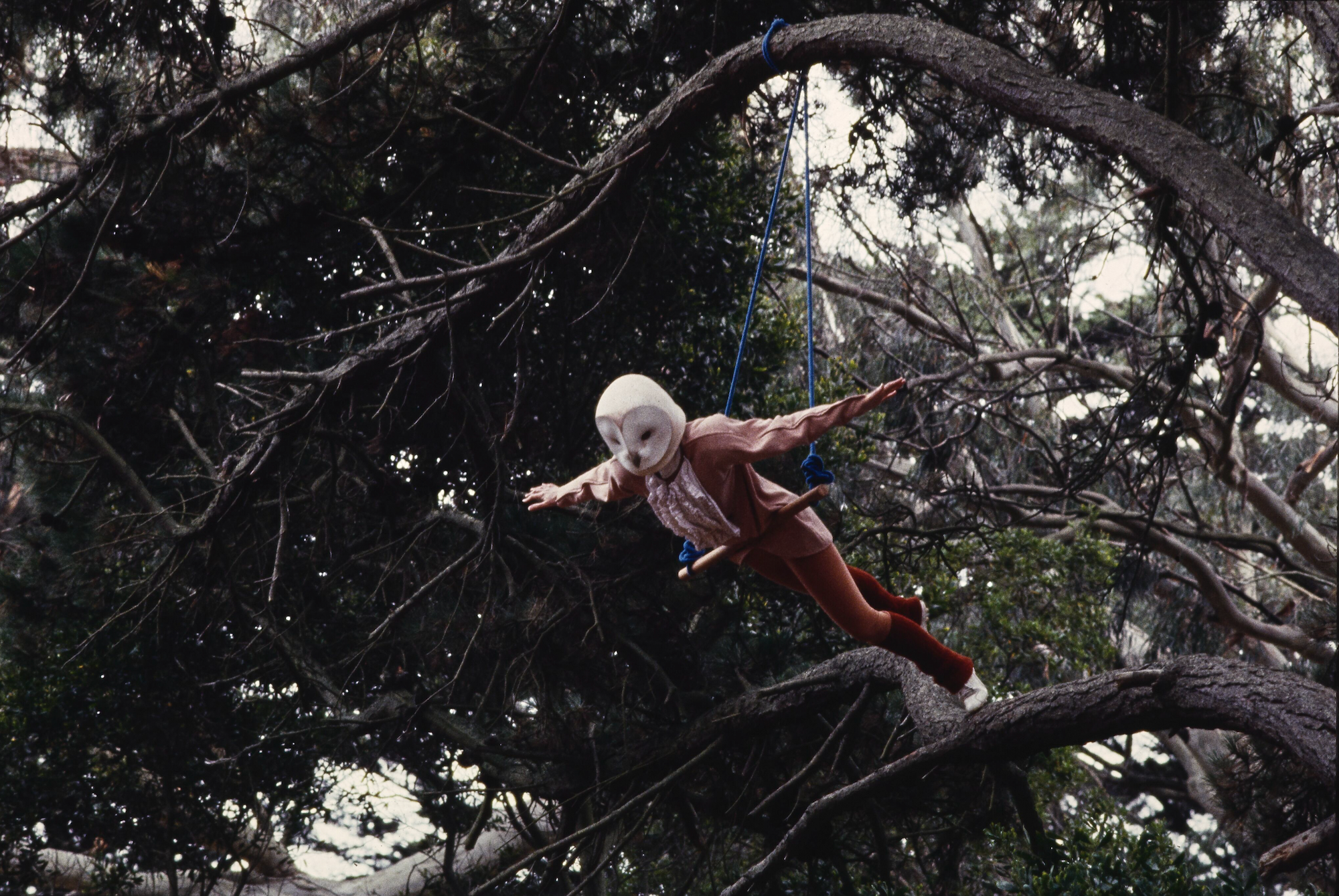 A person suspended in air by a harness connected to a tree, wearing a bird mask. 
